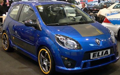 elia twingo 4.jpg, 47 KB