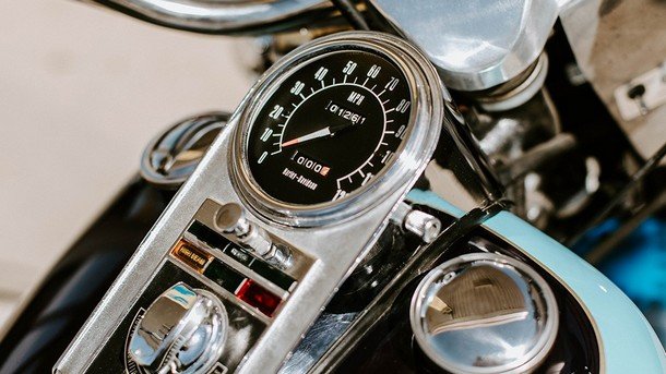 elvisov-harli 11.jpg, 66 KB