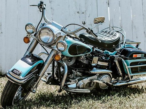 elvisov-harli-1.jpg, 91 KB