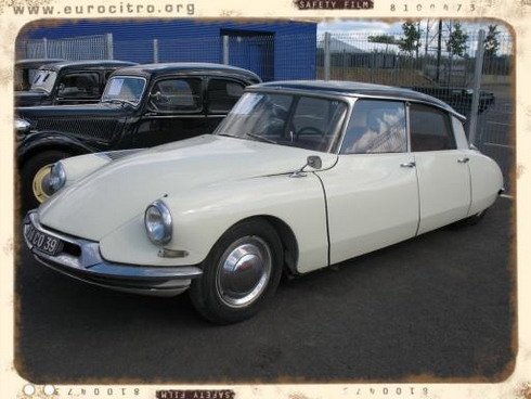 euro citro 111.jpg, 52 KB