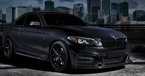 exotics 1.jpg, 49 KB