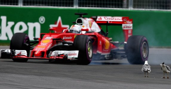 f1 galeb.jpg, 53 KB