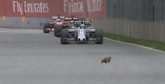 f1 mont.jpg, 33 KB