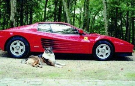 ferrari delon.jpg, 52 KB