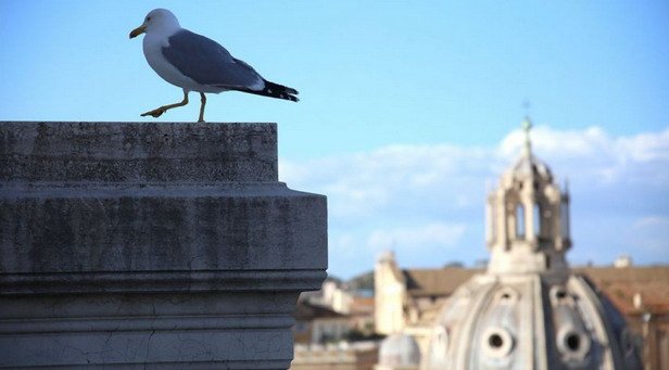 fiat nature.jpg, 41 KB