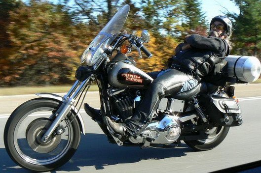 fil-komar.jpg, 80 KB