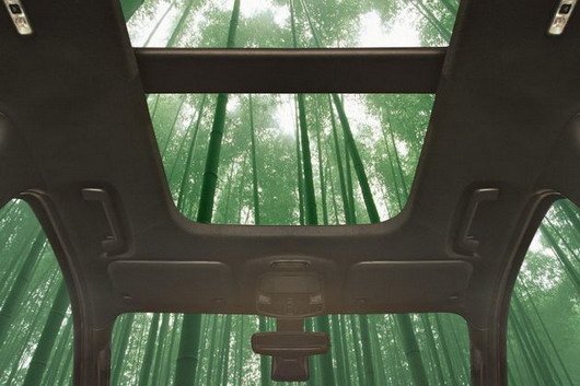 ford bambus.jpg, 54 KB
