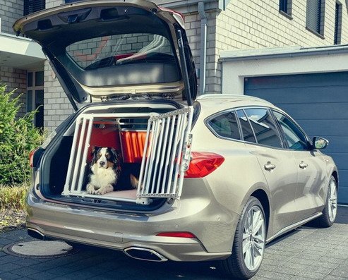 ford dog 1.jpg, 78 KB