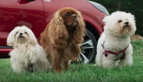 ford mega box.jpg, 58 KB