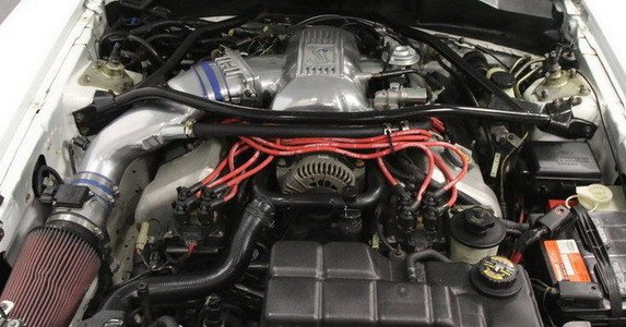 ford svt 1111.jpg, 68 KB