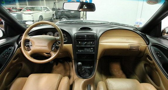 ford svt 11111.jpg, 57 KB