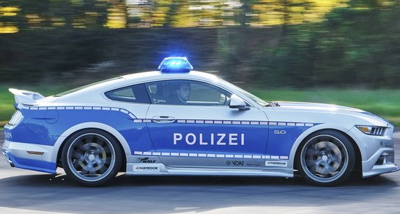 ford_mustang_wolf 1111.jpg, 55 KB