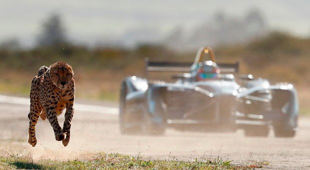 formula e gep.jpg, 50 KB