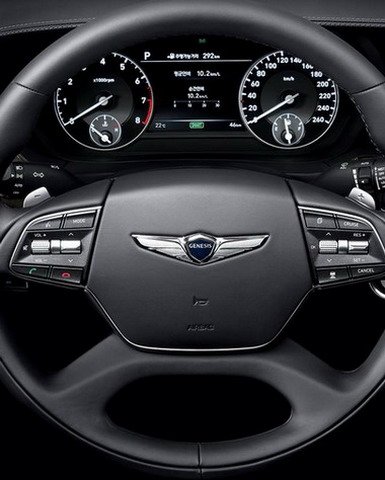 genesis g 11111.jpg, 52 KB
