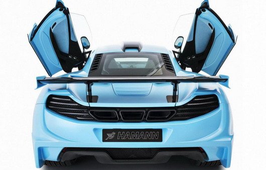 hamann 111.jpg, 47 KB