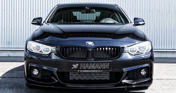 hamann 4 111.jpg, 69 KB