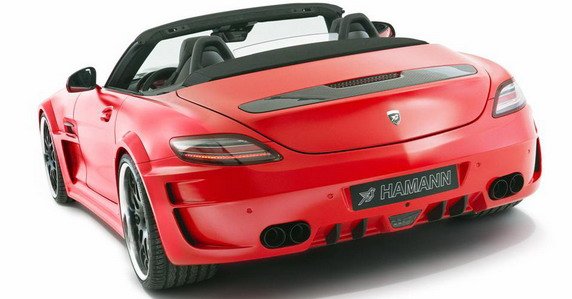 hamann hawk 11.jpg, 44 KB