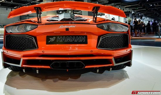 hamann nervudo 11.jpg, 67 KB