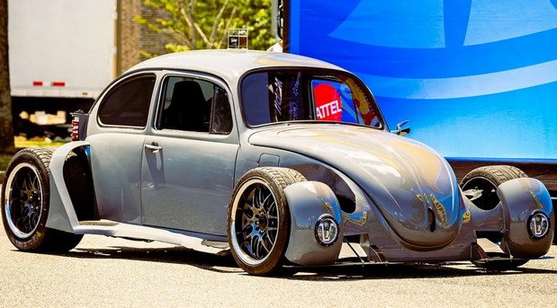 hammerhead 11.jpg, 79 KB