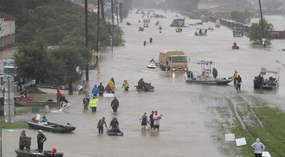 harvey.jpg, 52 KB