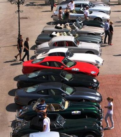 jaguar 4444.jpg, 61 KB