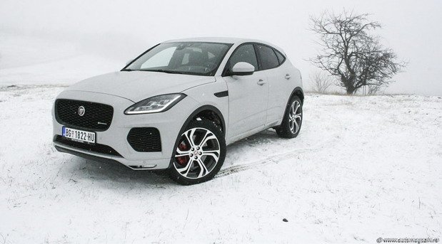 jaguar e pace am.jpg, 52 KB