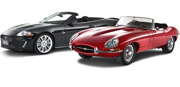jaguar grace 1.jpg, 33 KB