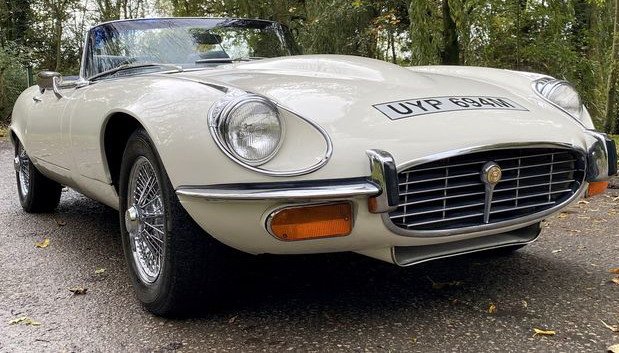 jaguar mucke 1.jpg, 93 KB