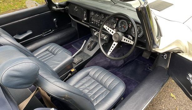 jaguar mucke 11.jpg, 79 KB