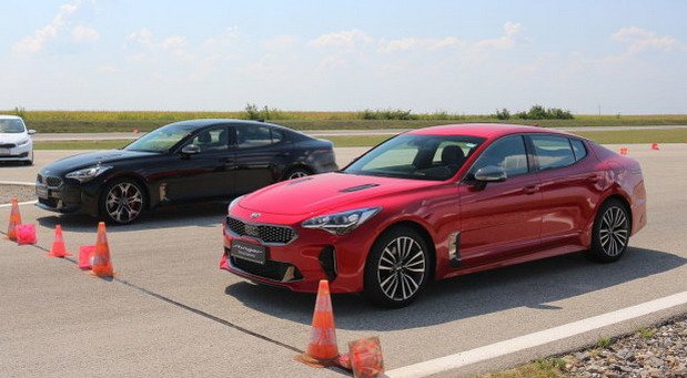 kia stinger am.jpg, 62 KB