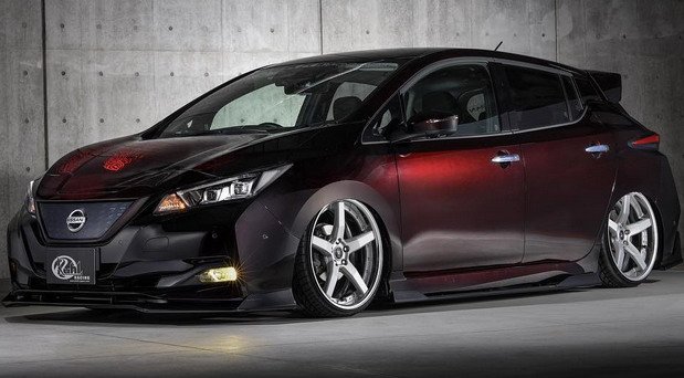 kuhl leaf 1.jpg, 58 KB