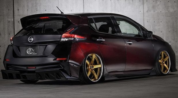 kuhl leaf 11.jpg, 55 KB