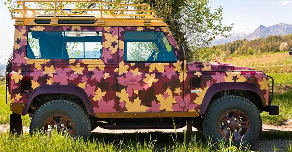land rover defender vineyard 11.jpg, 90 KB
