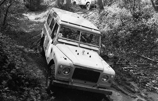 landy 111111111.jpg, 66 KB