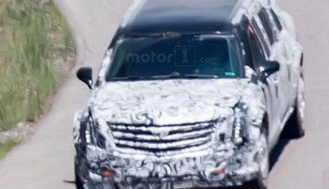limo zver 11.jpg, 37 KB