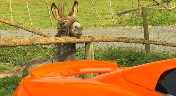 magare mclaren.jpg, 70 KB