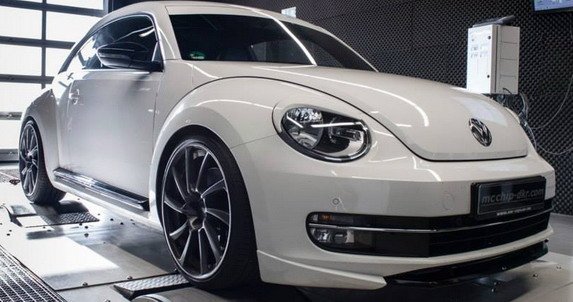 mc beetle 1.jpg, 56 KB