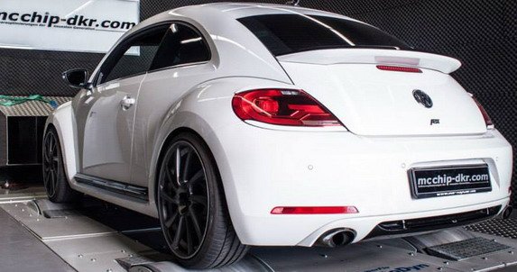 mc beetle 11.jpg, 54 KB