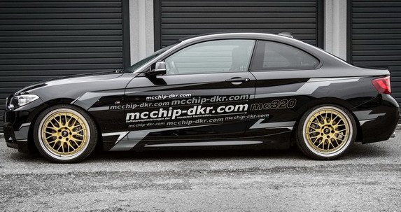 mc chip 33.jpg, 75 KB