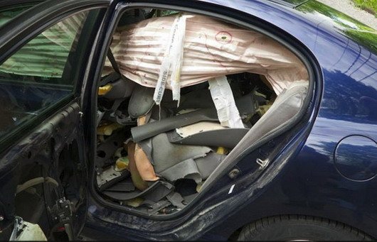 medved 111.jpg, 59 KB