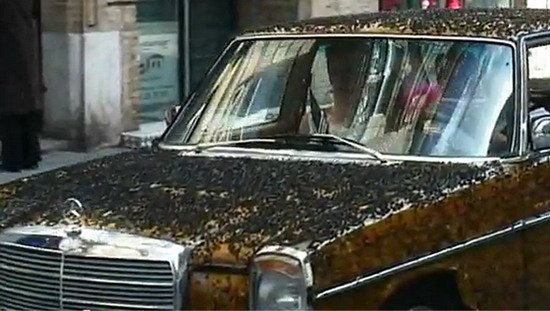 mercedes 1976.jpg, 59 KB