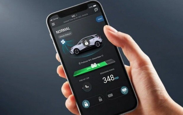 mg app 11.jpg, 42 KB