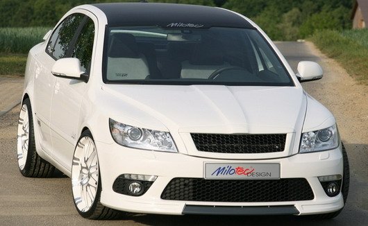 milotec skoda 1.jpg, 51 KB