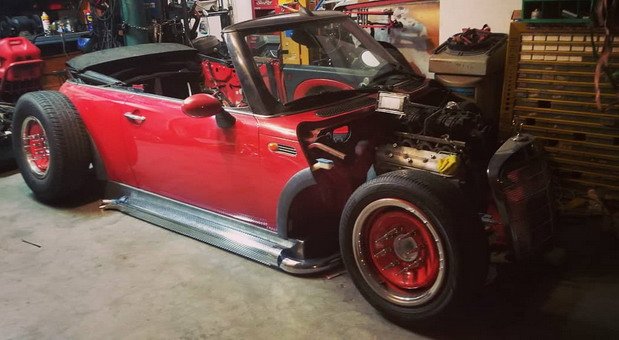 mini rat 11.jpg, 63 KB