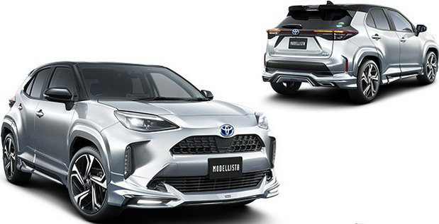 modellista y 1.jpg, 47 KB