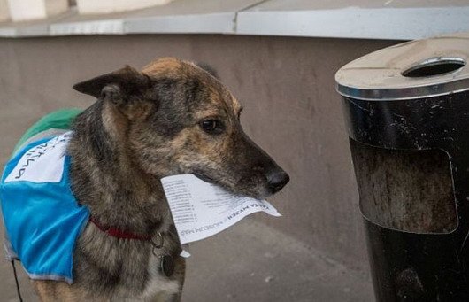 moskva 111.jpg, 55 KB