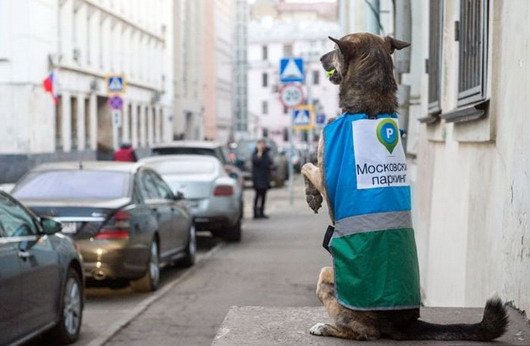 moskva 1111.jpg, 59 KB