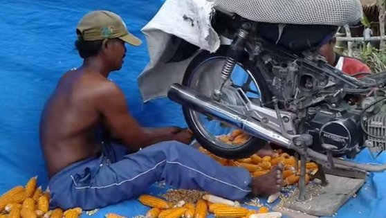 moto.jpg, 59 KB