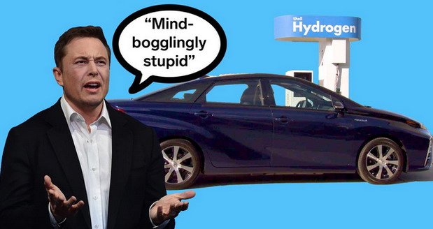 musk fcell.jpg, 49 KB