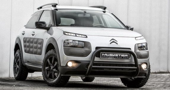 musketier 44.jpg, 49 KB